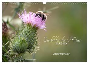 Zierbilder der Natur BLUMEN (Wandkalender 2024 DIN A3 quer), CALVENDO Monatskalender von Fuchs,  Dieter