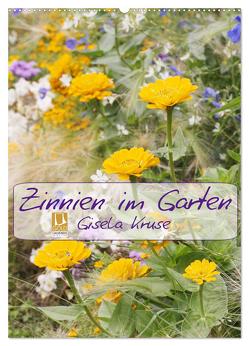 Zinnien im Garten (Wandkalender 2024 DIN A2 hoch), CALVENDO Monatskalender von Kruse,  Gisela