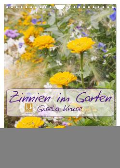 Zinnien im Garten (Wandkalender 2024 DIN A4 hoch), CALVENDO Monatskalender von Kruse,  Gisela