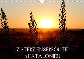 Zisterzienserroute in Katalonien (Wandkalender 2023 DIN A4 quer) von photography [Daniel Slusarcik],  D.S