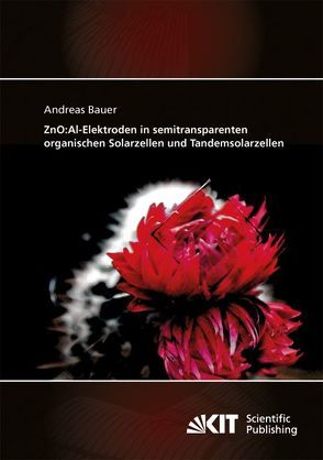 ZnO:Al-Elektroden in semitransparenten organischen Solarzellen und Tandemsolarzellen von Bauer,  Andreas