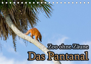 Zoo ohne Zäune – Das Pantanal (Tischkalender 2023 DIN A5 quer) von Sobottka,  Joerg