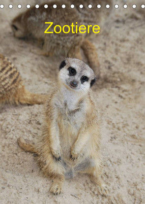 Zootiere (Tischkalender 2023 DIN A5 hoch) von AGe
