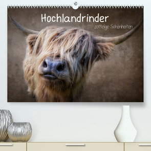 Zottelige Schönheiten – Hochlandrinder (Premium, hochwertiger DIN A2 Wandkalender 2022, Kunstdruck in Hochglanz) von Moeckel,  Claudia