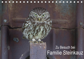 Zu Besuch bei Familie Steinkauz (Tischkalender 2021 DIN A5 quer) von Wenner,  Martin