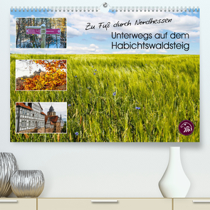 Zu Fuß durch Nordhessen – Unterwegs auf dem Habichtswaldsteig (Premium, hochwertiger DIN A2 Wandkalender 2023, Kunstdruck in Hochglanz) von Bering,  Thomas