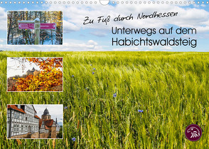 Zu Fuß durch Nordhessen – Unterwegs auf dem Habichtswaldsteig (Wandkalender 2022 DIN A3 quer) von Bering,  Thomas