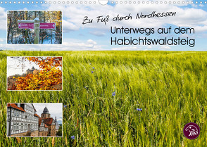 Zu Fuß durch Nordhessen – Unterwegs auf dem Habichtswaldsteig (Wandkalender 2023 DIN A3 quer) von Bering,  Thomas