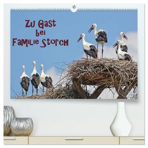 Zu Gast bei Familie Storch (hochwertiger Premium Wandkalender 2024 DIN A2 quer), Kunstdruck in Hochglanz von GUGIGEI,  GUGIGEI