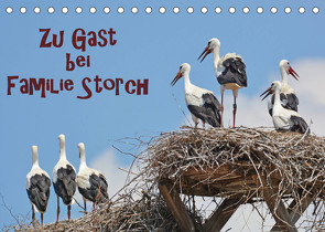 Zu Gast bei Familie Storch (Tischkalender 2023 DIN A5 quer) von GUGIGEI