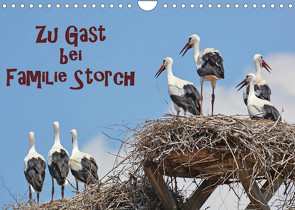 Zu Gast bei Familie Storch (Wandkalender 2023 DIN A4 quer) von GUGIGEI