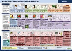 Zucker und Zuckerersatzstoffe in Lebensmitteln von Krüger,  Marcus, Lang,  Martina