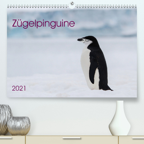 Zügelpinguine (Premium, hochwertiger DIN A2 Wandkalender 2021, Kunstdruck in Hochglanz) von Utelli,  Anna-Barbara