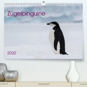 Zügelpinguine (Premium, hochwertiger DIN A2 Wandkalender 2020, Kunstdruck in Hochglanz) von Utelli,  Anna-Barbara