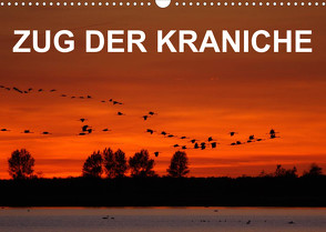 Zug der Kraniche (Wandkalender 2022 DIN A3 quer) von birdimagency,  BIA