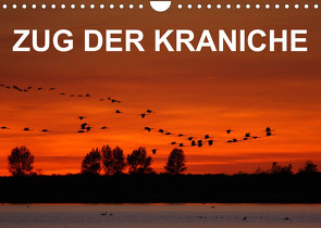 Zug der Kraniche (Wandkalender 2022 DIN A4 quer) von birdimagency,  BIA