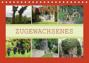 Zugewachsenes (Tischkalender 2019 DIN A5 quer) von Keller,  Angelika