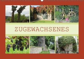 Zugewachsenes (Wandkalender 2018 DIN A2 quer) von Keller,  Angelika