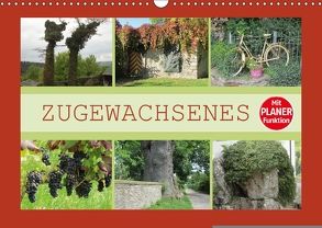 Zugewachsenes (Wandkalender 2018 DIN A3 quer) von Keller,  Angelika