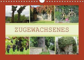 Zugewachsenes (Wandkalender 2018 DIN A4 quer) von Keller,  Angelika