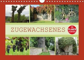 Zugewachsenes (Wandkalender 2018 DIN A4 quer) von Keller,  Angelika