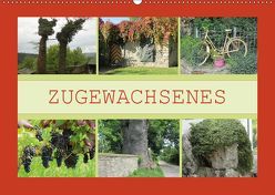 Zugewachsenes (Wandkalender 2019 DIN A2 quer) von Keller,  Angelika