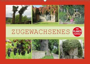 Zugewachsenes (Wandkalender 2019 DIN A2 quer) von Keller,  Angelika