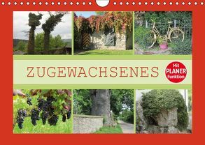 Zugewachsenes (Wandkalender 2019 DIN A4 quer) von Keller,  Angelika