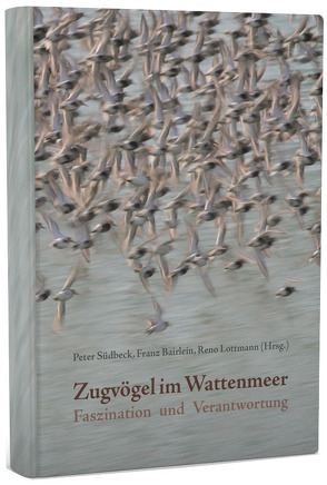 Zugvögel im Wattenmeer