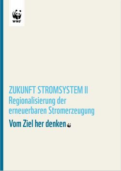 Zukunft Stromsystem II von Cook,  Vanessa, Falkenberg,  Hanno, Flachsbarth,  Franziska, Hermann,  Hauke Hermann, Loreck,  Charlotte, Maatsch,  Henrik, Matthes,  Dr. Felix Chr., Petrich,  Sebastian, Risch,  Anna