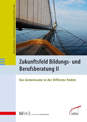 Zukunftsfeld Bildungs- und Berufsberatung II von Hammerer,  Marika, Kanelutti-Chilas,  Erika, Melter,  Ingeborg