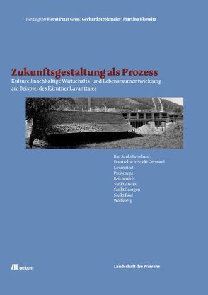 Zukunftsgestaltung als Prozess von Gross,  Horst Peter, Strohmeier,  Gerhard, Ukowitz,  Martina