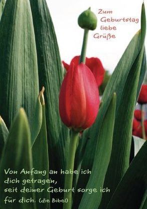 Faltkarte „Zum Geburtstag liebe Grüße…“ – 5 Stück von Lilienthal,  Lars