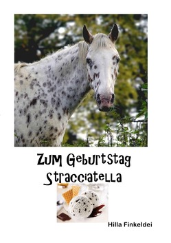 Zum Geburtstag Stracciatella von Finkeldei,  Hilla