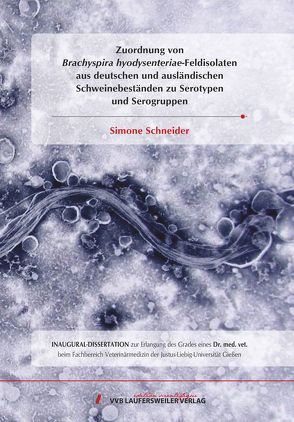 Zuordnung von Brachyspira hyodysenteriae-Feldisolaten aus deutschen und ausländischen Schweinebeständen zu Serotypen und Serogruppen von Schneider,  Simone