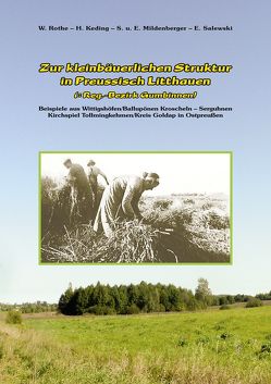 Zur kleinbäuerlichen Struktur in Preußisch Litthauen (= Reg.-Bezirk Gumbinnen) von Keding,  Horst, Mildenberger,  E, Mildenberger,  S, Rothe,  Wolfgang, Salewski,  Erwin