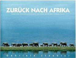 Zurück nach Afrika von Staebler,  Gabriela