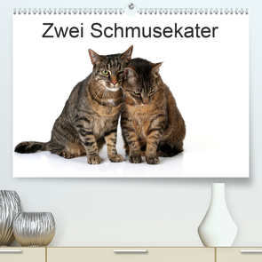 Zwei Schmusekater (Premium, hochwertiger DIN A2 Wandkalender 2021, Kunstdruck in Hochglanz) von Eppele,  Klaus