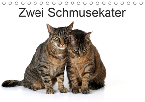 Zwei Schmusekater (Tischkalender 2021 DIN A5 quer) von Eppele,  Klaus