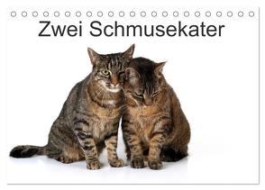 Zwei Schmusekater (Tischkalender 2024 DIN A5 quer), CALVENDO Monatskalender von Eppele,  Klaus