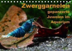 Zwerggarnelen – gepanzerte Juwelen im Aquarium (Tischkalender 2018 DIN A5 quer) von Franzmann,  Florian