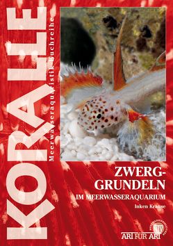 Zwerggrundeln im Meerwasseraquarium von Krause,  Inken