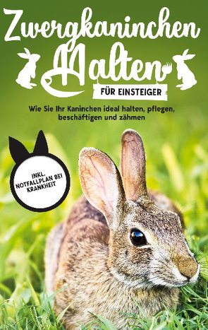 Zwergkaninchen halten für Einsteiger: Wie Sie Ihr Kaninchen ideal halten, pflegen, beschäftigen und zähmen – inkl. Notfallplan bei Krankheit von Böhmer,  Thorsten