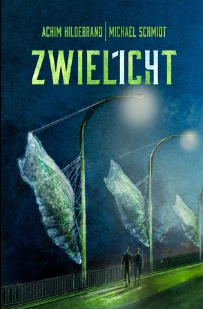 Zwielicht 14 von Hildebrand,  Achim, Schmidt,  Michael