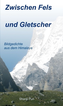 Zwischen Fels und Gletscher von Puri,  Shanti