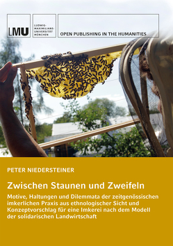 Zwischen Staunen und Zweifeln von Niedersteiner,  Peter