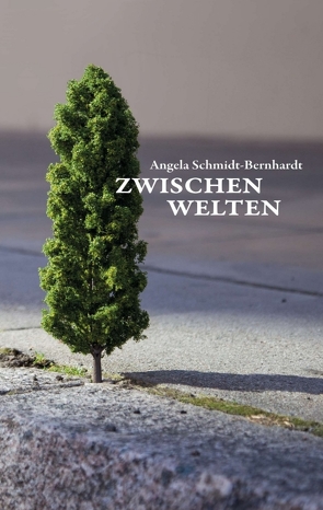 Zwischenwelten von Schmidt-Bernhardt,  Angela